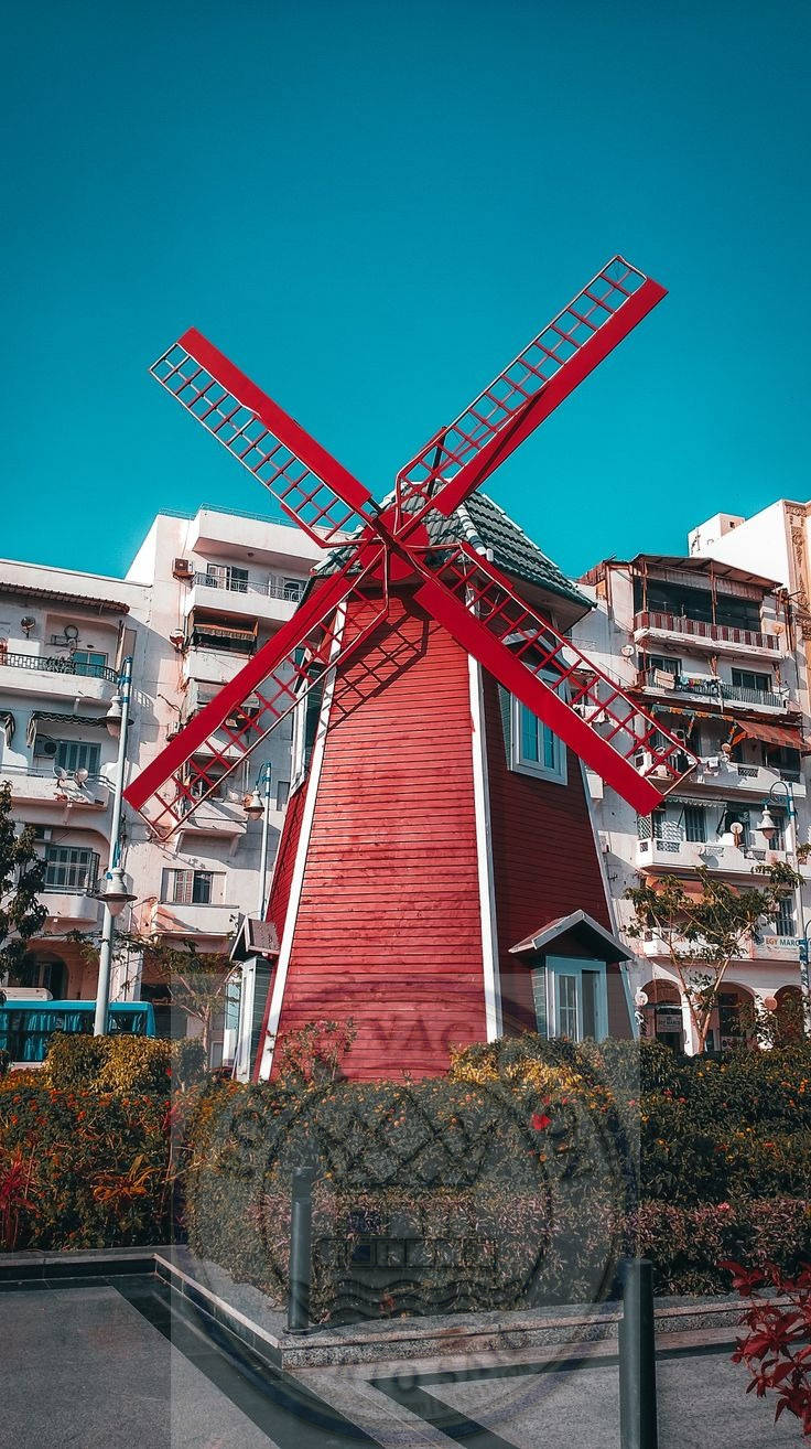  حديقة فريال بورسعيد 